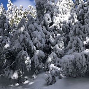 Meet your Posher, Mia